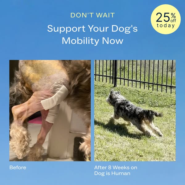 Dog is Human ad