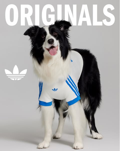 adidas ad