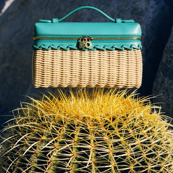 This image showcases a purse on top of a cactus, likely intended to grab the viewer's attention and signal a unique 