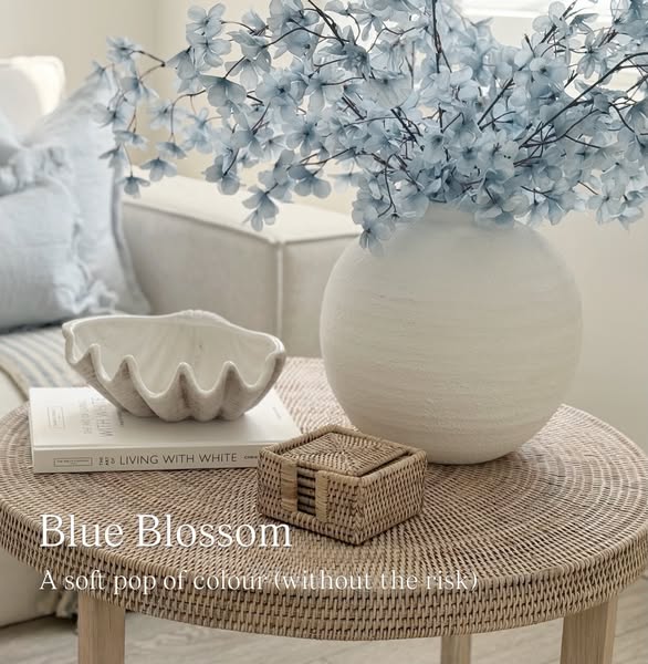 LuluLovesHome ad