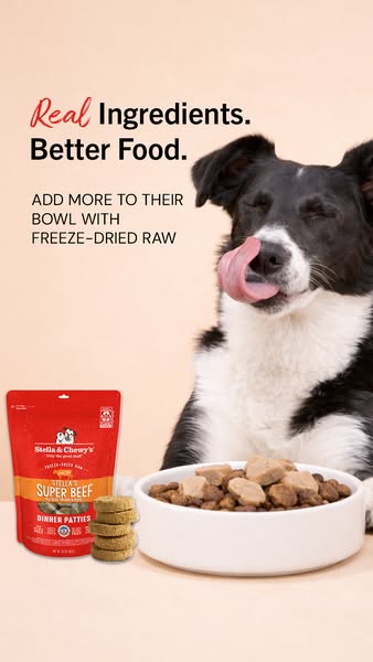 This Stella & Chewy's ad showcases freeze-dried raw dinner patties for dogs, emphasizing real ingredients and be