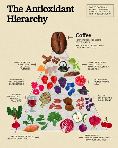 This ad presents an image of the antioxidant hierarchy in a pyramid. It lists a number of foods including coffee, spices