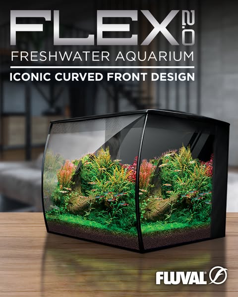 This image ad promotes the Fluval Flex freshwater aquarium featuring a curved front design. It highlights the aquarium