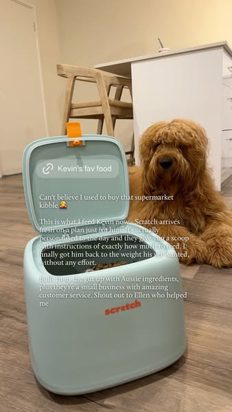 Scratch Dog Food 🐶 ad