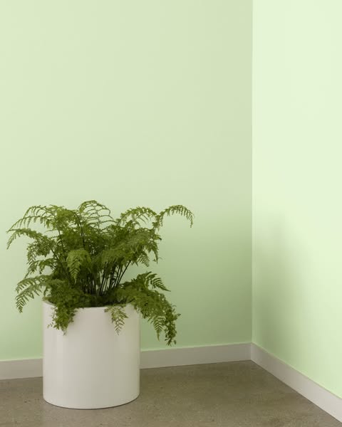 Benjamin Moore ad