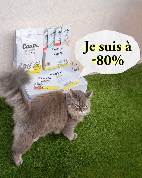 This ad is showcasing Caats brand cat food. The image shows several products and a cat with a speech bubble that states 