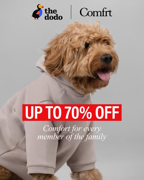 The Dodo ad
