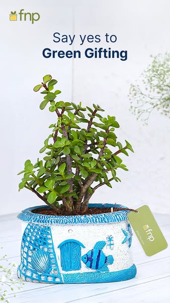 This ad promotes FNP's green gifting options, featuring a potted plant in a decorative pot. The ad encourages viewer