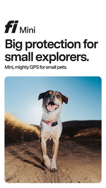 This ad for Fi Mini features a happy dog wearing the product on a walk. The ad highlights the product's ability to p