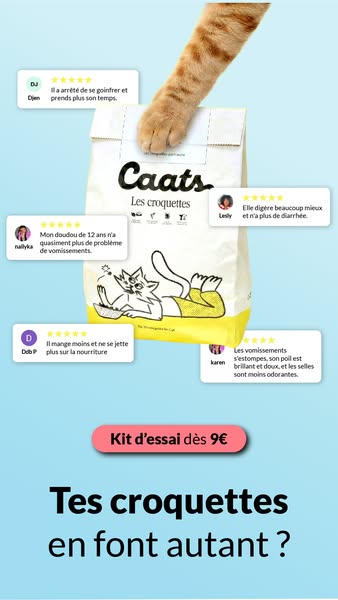 The ad promotes Caats cat food using user testimonials to show the benefits of the product. An offer for a trial kit at 