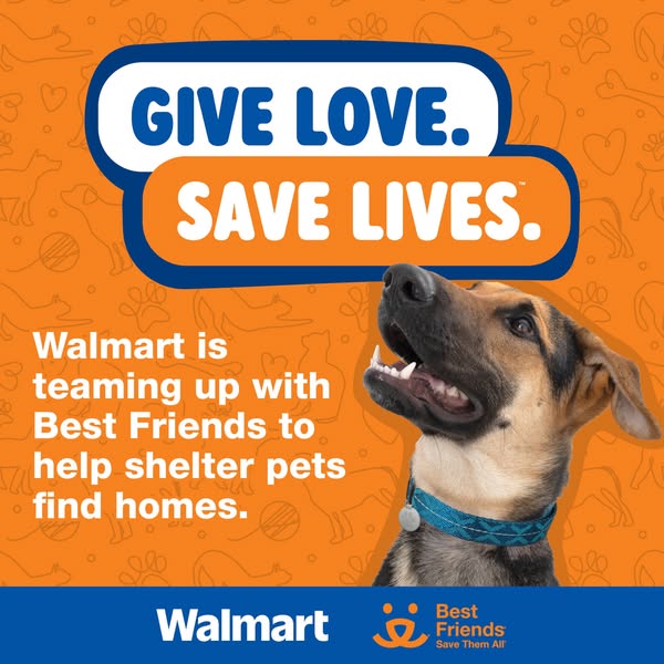 This ad encourages users to give love and save lives by highlighting Walmart's partnership with Best Friends to help