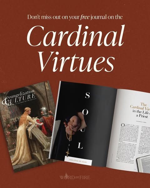 Bishop Robert Barron ad