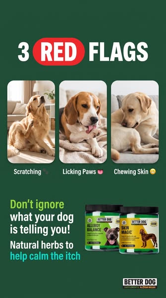 Cesar Millan ad
