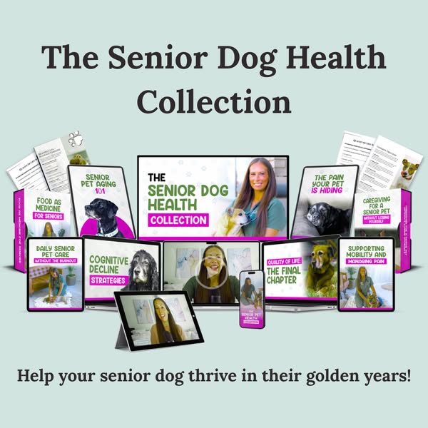 Dr. Shannon Nash ad