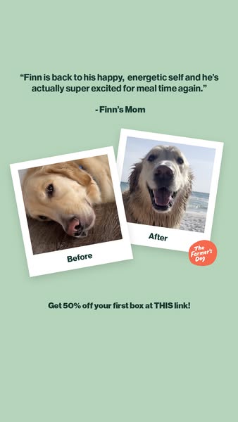 This ad for The Farmer's Dog features a testimonial from a dog owner, accompanied by before-and-after photos of her 