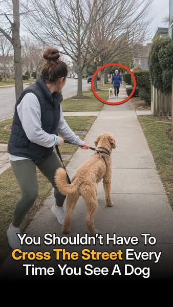 Tom Davis Dog Training ad