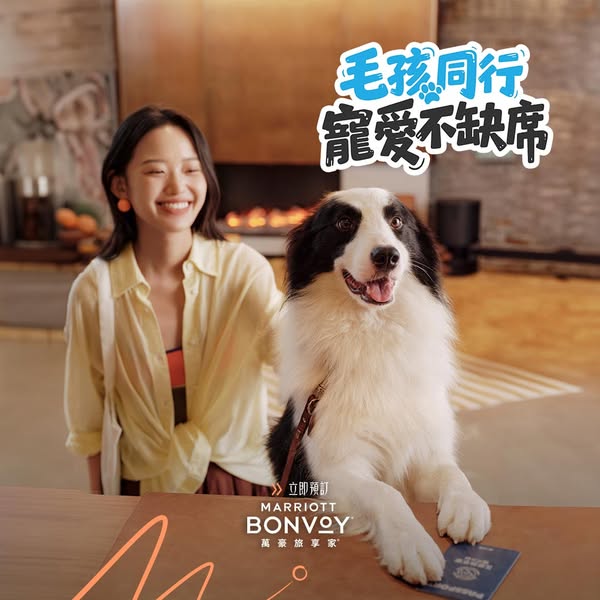 This ad promotes pet-friendly hotel stays through Marriott Bonvoy. The ad features an image of a woman and a dog at a ho