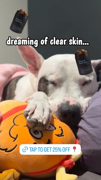 Dog is Human ad