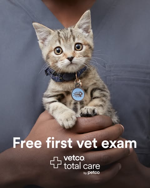 An image ad promoting Vetco Total Care by Petco featuring a tabby kitten being held by a Vetco Total Care employee with 