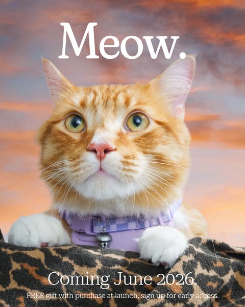 A teaser ad for a product launching in June 2026, featuring a close-up of a cat looking into the camera against a sunset
