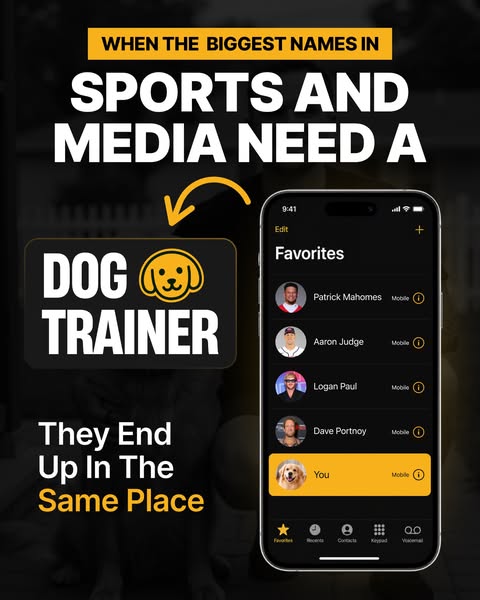 Tom Davis Dog Training ad