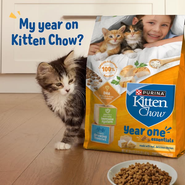 An ad for Purina Kitten Chow that asks, "My year on Kitten Chow?" The image features a kitten on the floor, wi