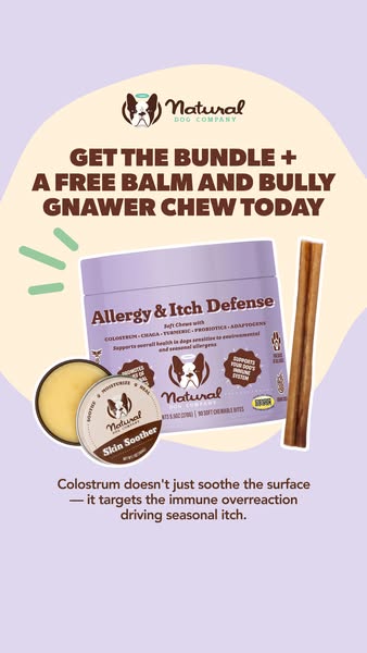 An image ad for Natural Dog Company promoting a bundle that includes a free balm and bully gnawer chew for dogs, focusin