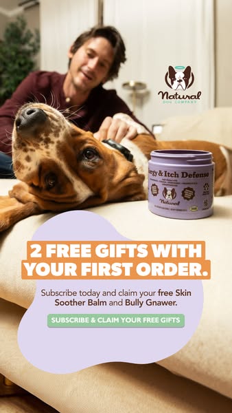 An image ad promoting Natural Dog Company's Allergy & Itch Defense product featuring a person petting a dog whil