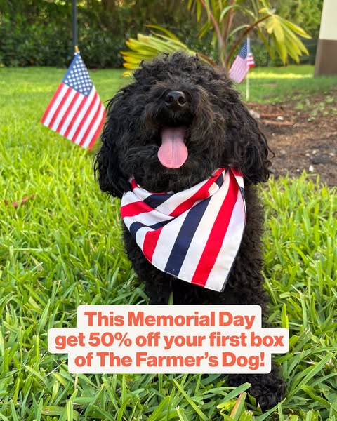 An image ad from The Farmer's Dog offering 50% off the first box in honor of Memorial Day. The ad features a black d