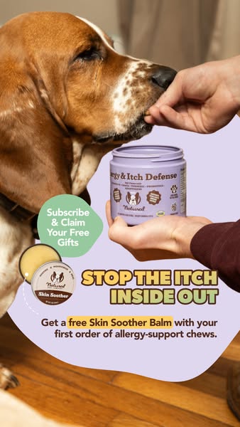 This image ad promotes a natural allergy and itch defense product for dogs, highlighting its benefits and offering a fre