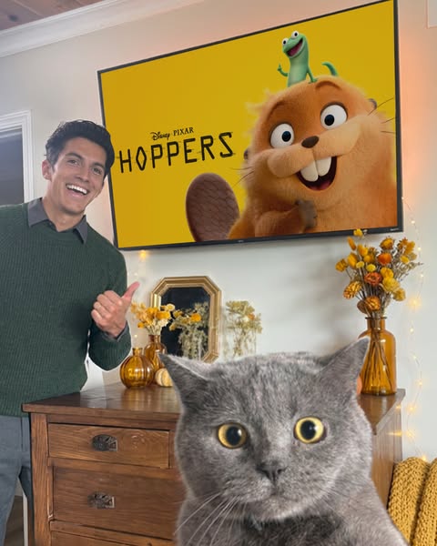 Aaron's Animals ad