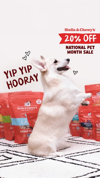This ad for Stella & Chewy's dog food announces a sale. A dog is standing on its hind legs in front of several b