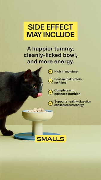 This ad promotes Smalls cat food by listing the positive side effects of the product, such as a happier tummy and a clea