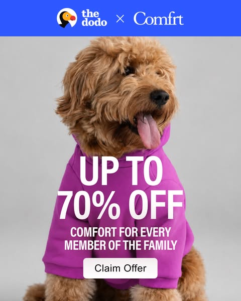 The Dodo ad
