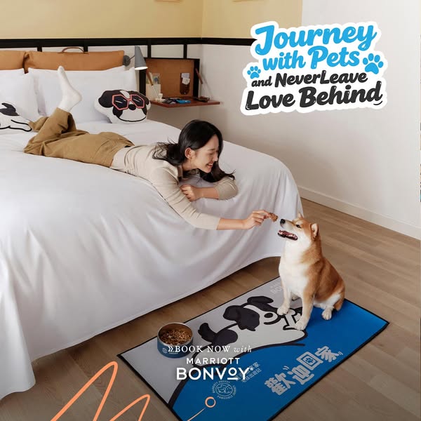 An image ad shows a woman in a hotel room interacting with a dog. The ad promotes pet-friendly stays at Marriott Bonvoy 