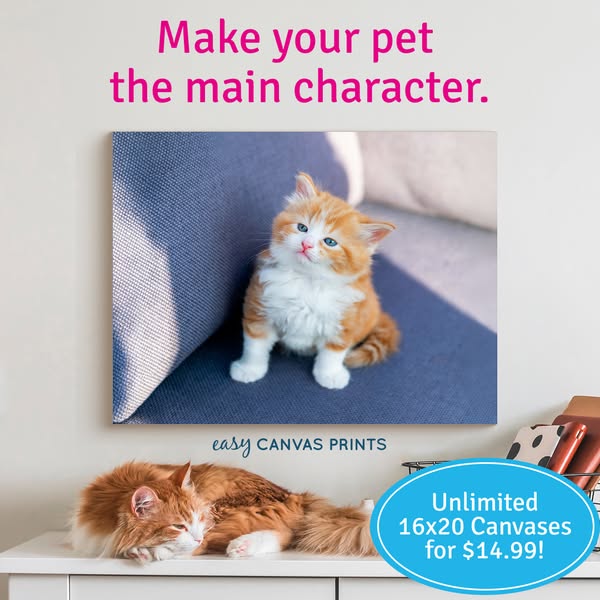 Easy Canvas Prints ad