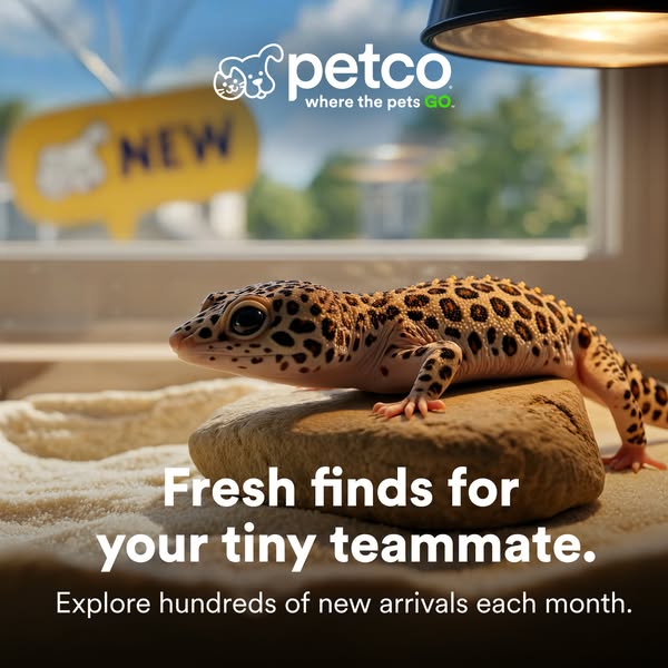 This ad showcases Petco's selection of new products for pets. The ad uses a leopard gecko perched on a rock as a pro
