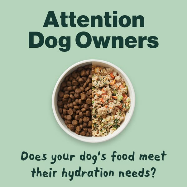The Farmer's Dog ad