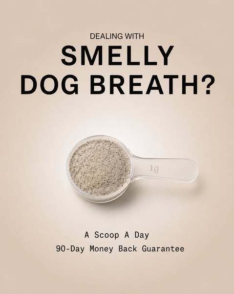 Nourish Pet Co. ad