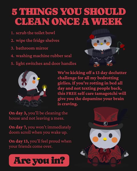 This ad presents a decluttering challenge targeted towards bedrotting girlies. It features a list of cleaning tasks to b