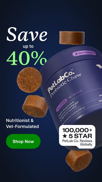 This image ad promotes PetLab Co. Probiotic Chews for dogs, highlighting their nutritional benefits and vet-formulated d