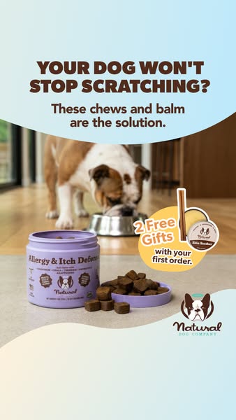 This ad aims to solve the problem of dogs that scratch non-stop due to allergies and itchiness with chews and balm from 