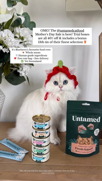 Our Cat Biscuit ad