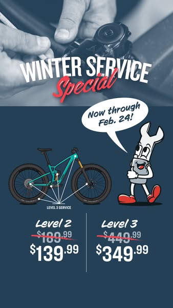 This image ad promotes a winter service special for bicycles, highlighting discounted prices for Level 2 and Level 3 ser