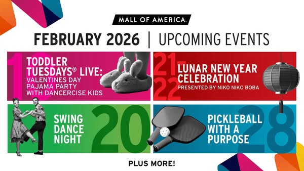 Mall of America ad