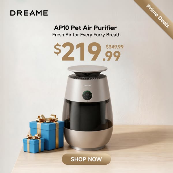 DreameUS ad