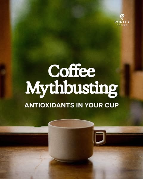 An image ad for Purity Coffee with the tagline "Coffee Mythbusting" and the subtitle "ANTIOXIDANTS IN YOU