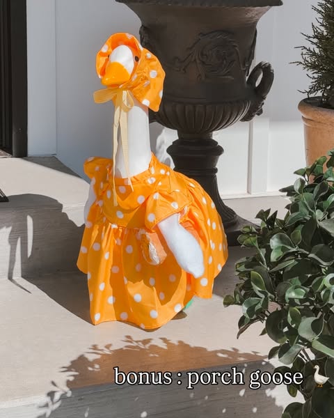 Mae ad
