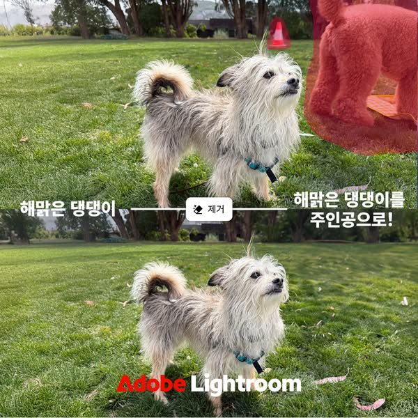 This ad shows a before and after of using Adobe Lightroom to remove a background object from a photo of a dog.
