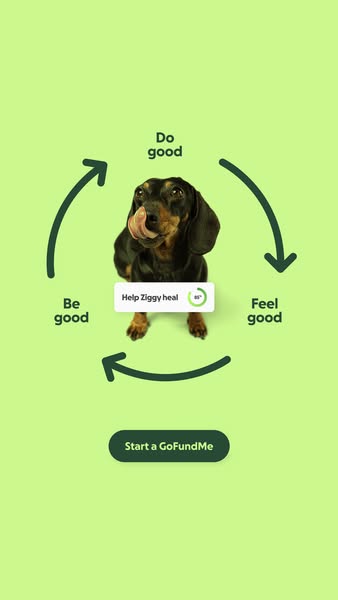 This ad for GoFundMe promotes a heartwarming connection between charitable giving and the well-being of animals. It feat